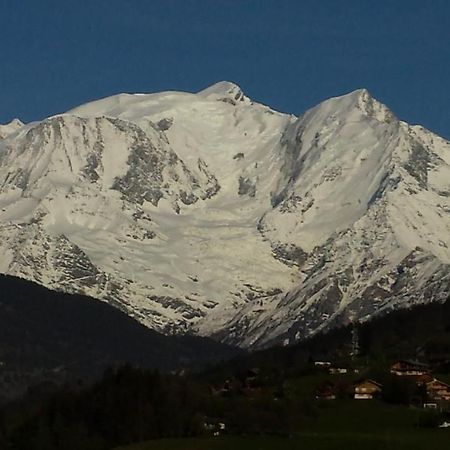 Appart en rez de jardin clos face au Mont BLANC Apartment Combloux Exterior foto