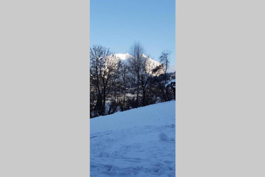 Appart en rez de jardin clos face au Mont BLANC Apartment Combloux Exterior foto