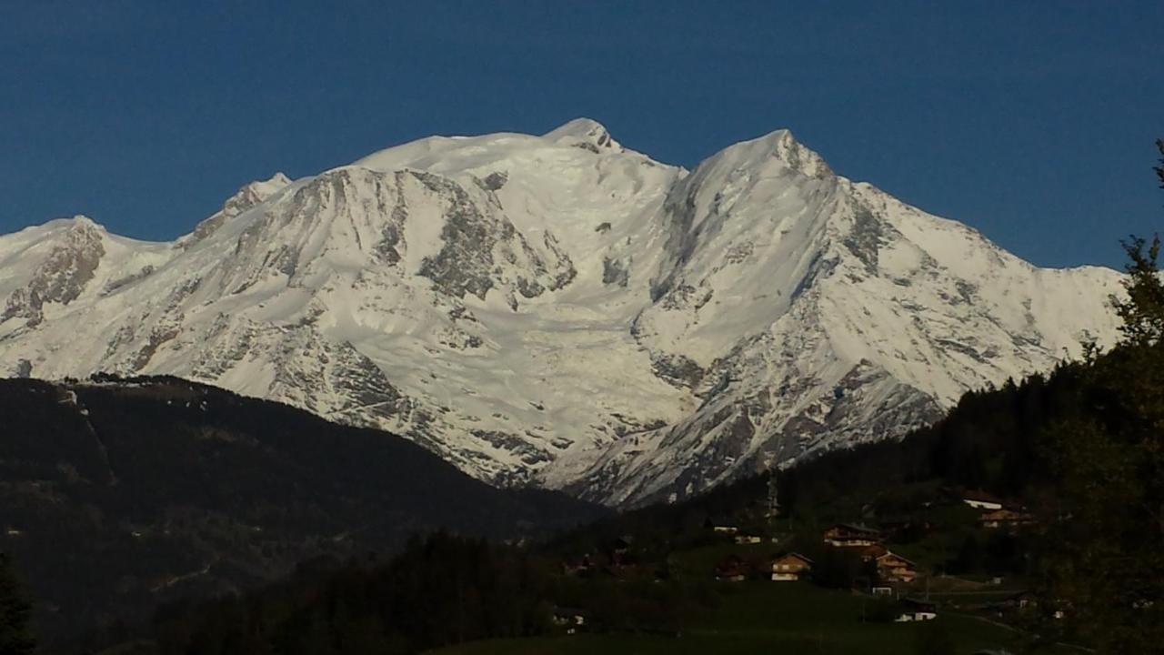 Appart en rez de jardin clos face au Mont BLANC Apartment Combloux Exterior foto